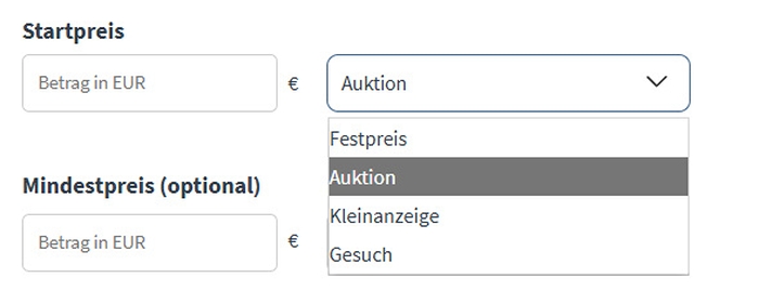 Eingabemaske Angebotsart