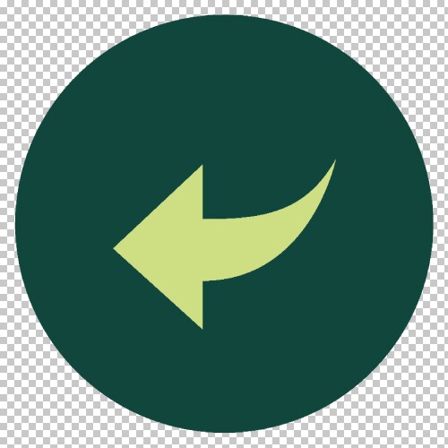 Ruecknahme Icon