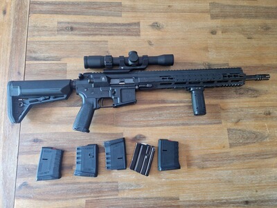 ProArms PAR MK-3 mit Sightron S-Tac 2-10x32