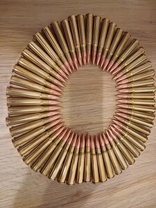 54 Schuss 303. brit 174gr