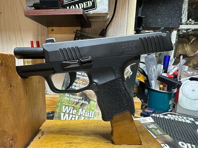 Sig Sauer P365
