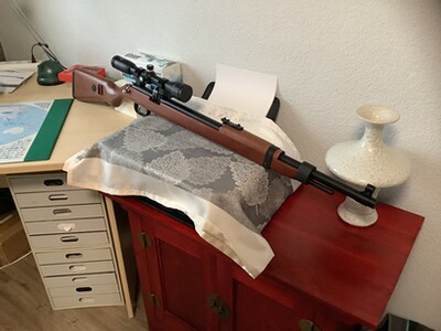 Diana Mauser PCP