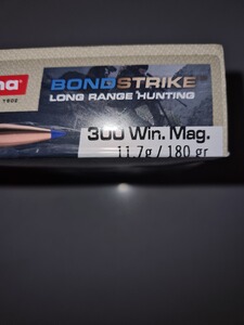 Muntion 300 Win Mag