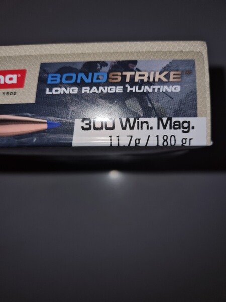 Muntion 300 Win Mag