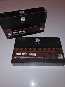 Munition 300 Win Mag