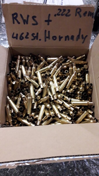 Patronen Hülsen cal .222 Rem RWS Hornady 462 Stk. Wiederlader
