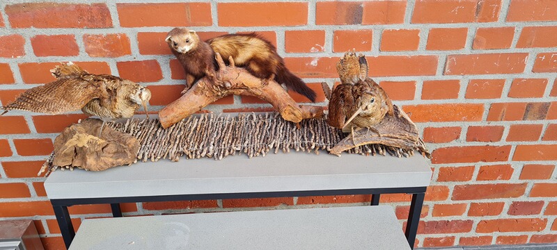 Jagd Präparate