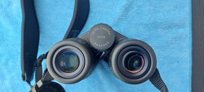 Leica Fernglas GEOVID Pro 10x32