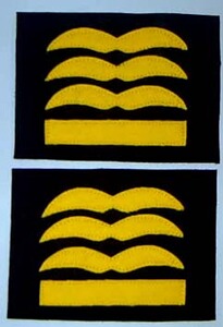 Dienstgardabz. General der Fallschirmjäger/ Flieger