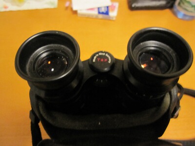 Zeiss Classic 8x56 T*P mit Lederhose