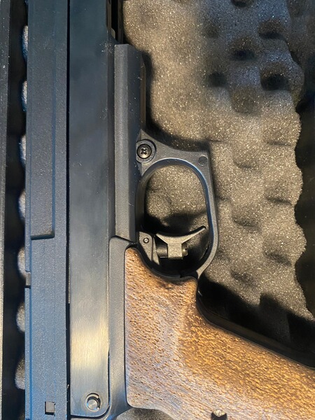 Luftpistole Gamo Compact
