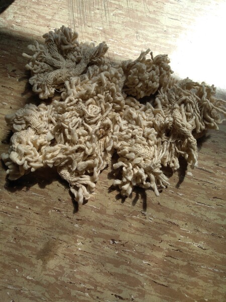 Konvolut Reinigungsdochte