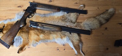 Steyr Mannlicher SL
