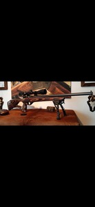 CZ 457 Thumbhole 20" in .22 WMR