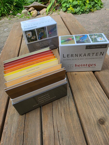 Heintges Lernkarten neu OVP