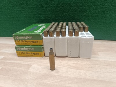 .22-250 Remington Hülsen