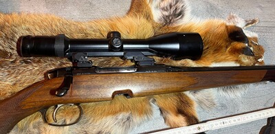 Steyr Mannlicher SBS 7x64, Zeiss Diavari VM 3-12x56 Mündungsgewinde M14
