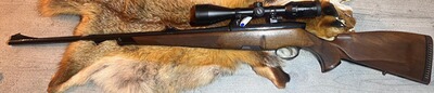 Steyr Mannlicher Luxus – Kaliber .243 Win. mit Kahles KXi 3,5–10x50