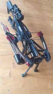 EK Archery Cobra System Siege 300 Komplettset – Top Zustand mit Tasche & 6 Pfeilen!