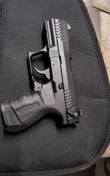 Walther P22