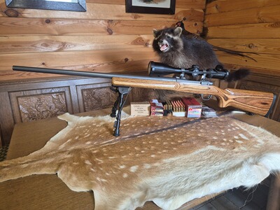 Ruger M77 MK2 VT Varmint/Target SS 223 REM in sehr guten Zustand Harris Ultra Light Zweibein
