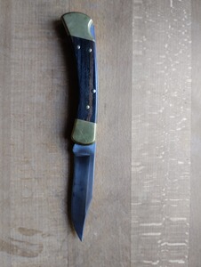 Buck 110 Taschenmesser