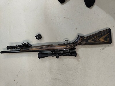 Ruger Rimfire Target