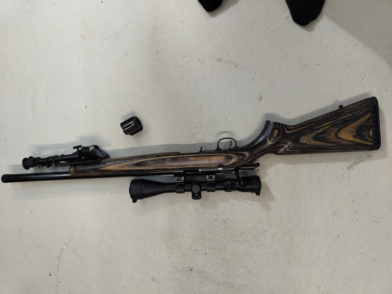 Ruger Rimfire Target