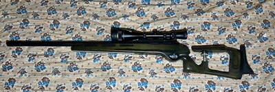 GOL-Sniper 300. Win.Mag