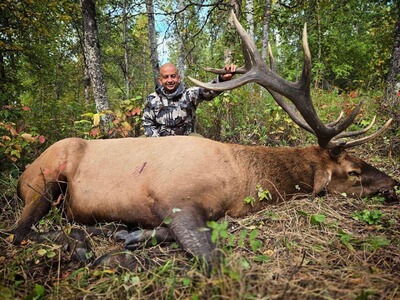 Elk (Wapiti) Jagd in Alberta/Kanada