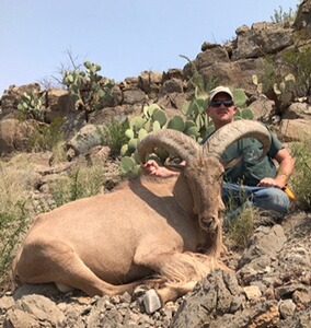 Auodad (Mähnenspringer) & Pekari-Jagd in Texas - USA