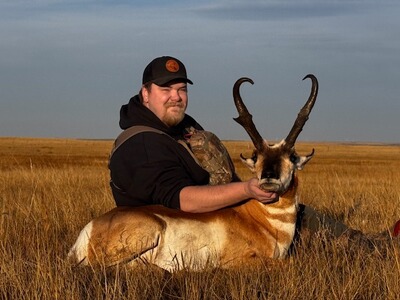 Pronghorn-Jagd in Alberta - Kanada