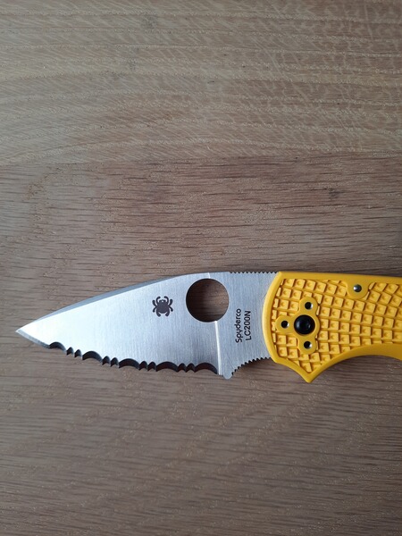 Spyderco Native 5 Salt