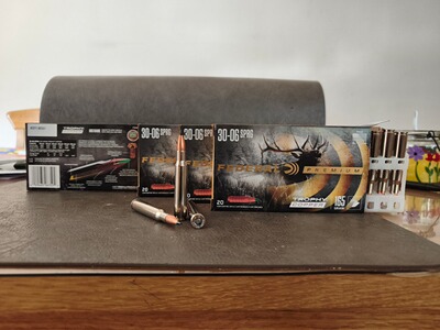 Büchsenmunition bleifrei 3006