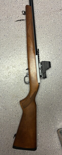 Ruger 10/22 Buchenholzschaft (ja nur der Schaft)