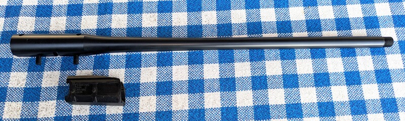 Blaser R8 Wl 30.06