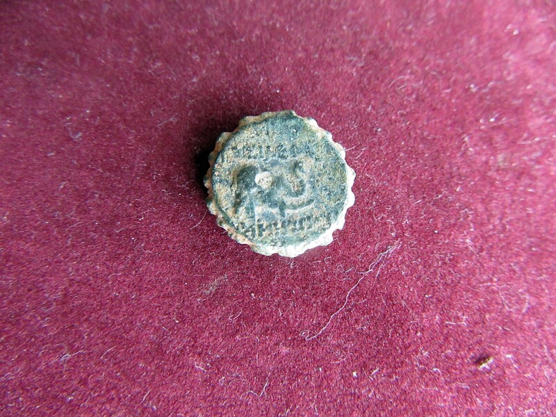 Demetrios I. Pferd Elefant Seleukia antike griechische Münze Nr. 24