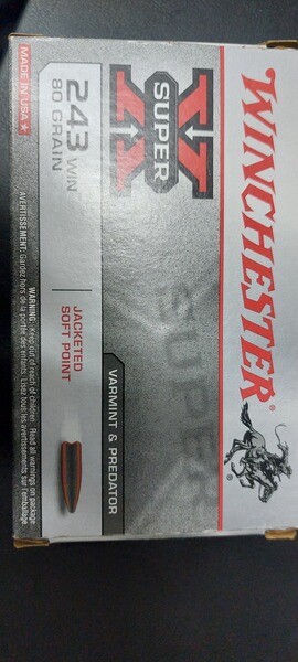Winchester 243 Patronen