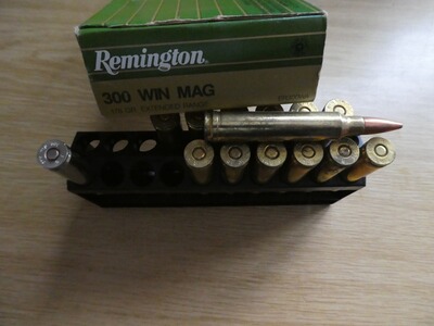 15 Original 300 Remington Magnum Patronen 178 Grain alle außer der verchromten Patrone aus einem Los
