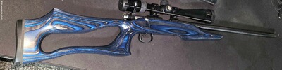 CZ 455 Evolution Varmint – .22 lfb – Lochschaft – guter Zustand – Nikon P‑223 4‑12x40