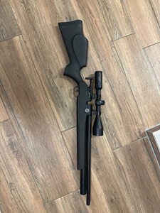 FX AIRGUNS Dreamline