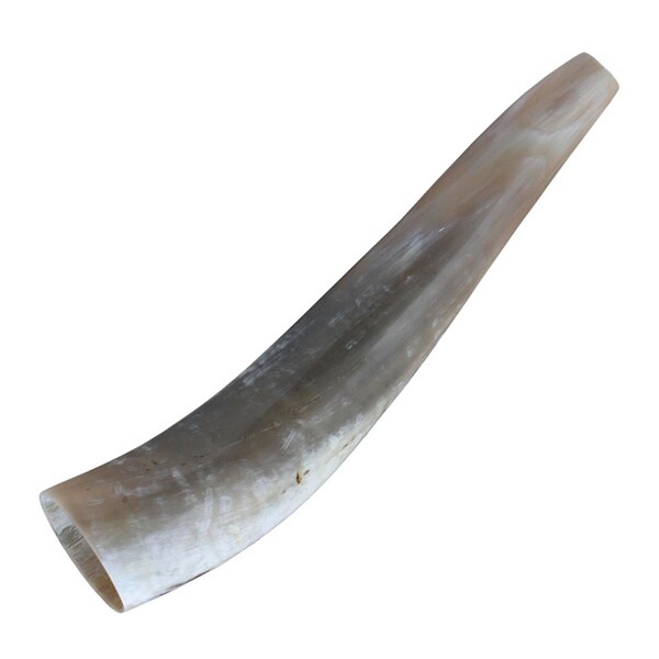 Locker Weisskirchen Hirschruf Ochsenhorn 40 cm inkl. DVD