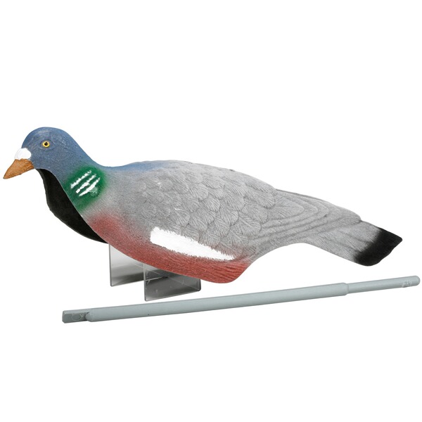 Lockvogel Taube mit Haltestab