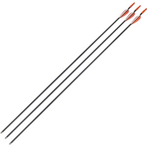 3 Pfeile Carbon 30*/5,5mm bis 40lbs