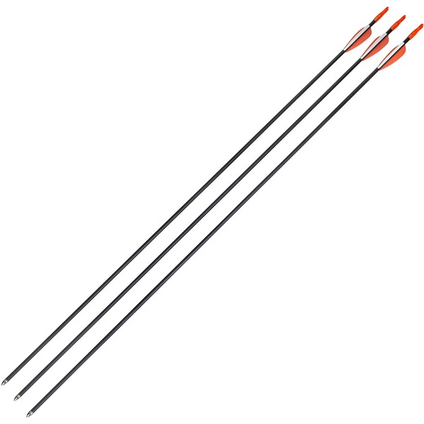 3 Pfeile Carbon 30*/5,5mm bis 40lbs