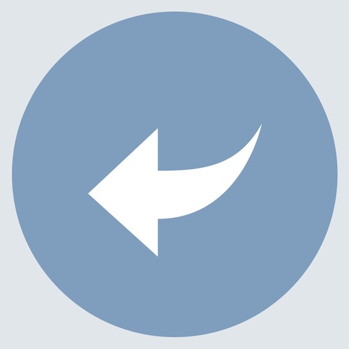 Ruecknahme Icon