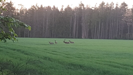 Händlerlogo von Mike57