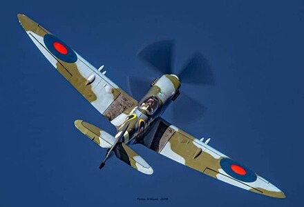 Händlerlogo von Vesuvio-76